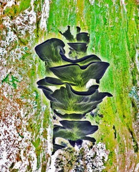 N 094A